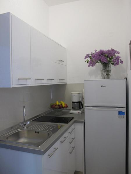 Haus Katerina Apartment Vourvourou
